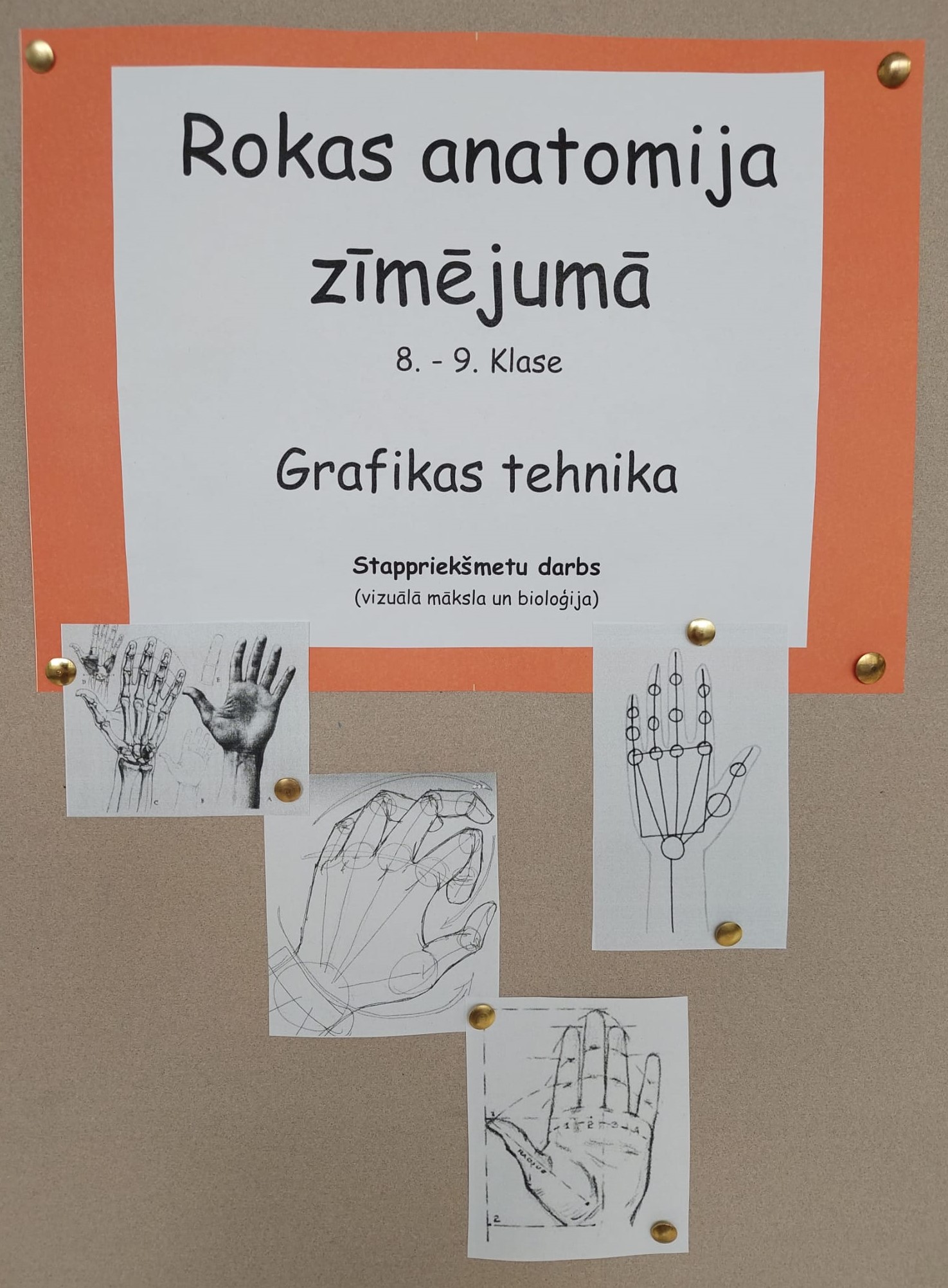 Izstāde Rokas anatomija